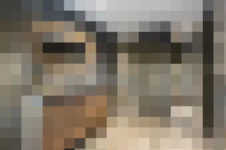 Struikakkers 13 Ermelo thumbnail 35