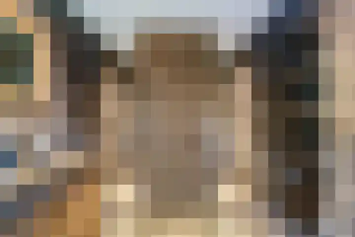 Struikakkers 13 Ermelo thumbnail 36