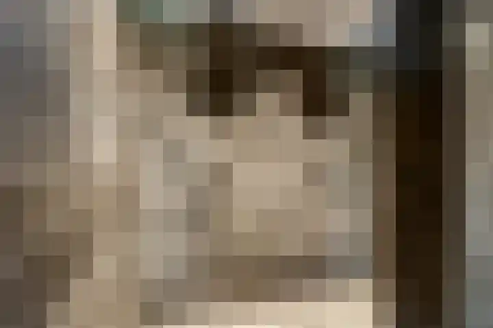 Struikakkers 13 Ermelo thumbnail 37