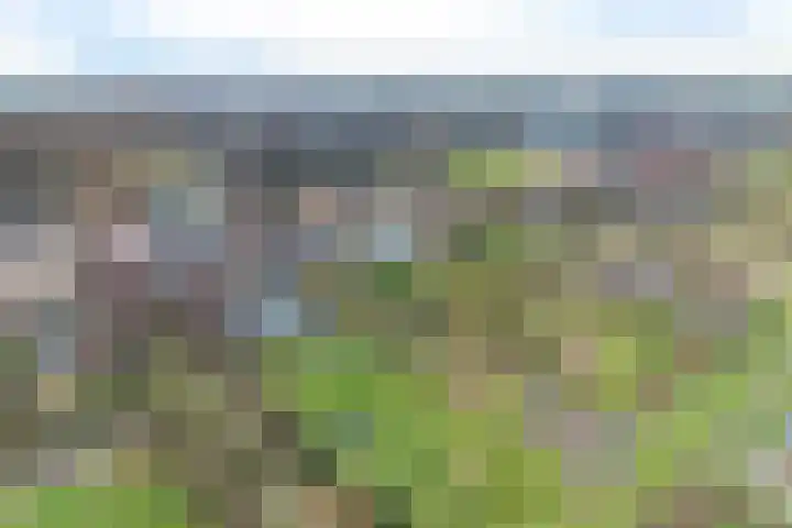 Struikakkers 13 Ermelo thumbnail 38