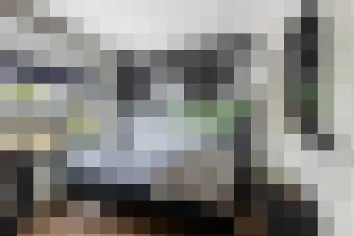 Struikakkers 13 Ermelo thumbnail 44