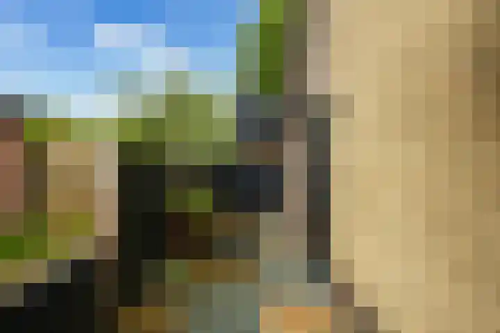 Struikakkers 13 Ermelo thumbnail 5