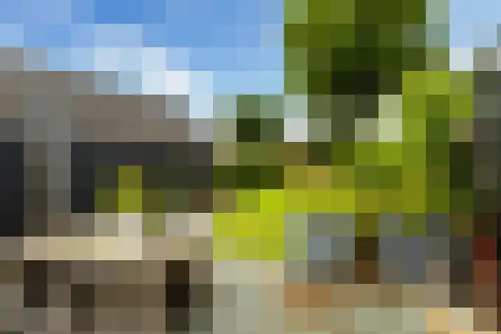 Struikakkers 13 Ermelo thumbnail 52