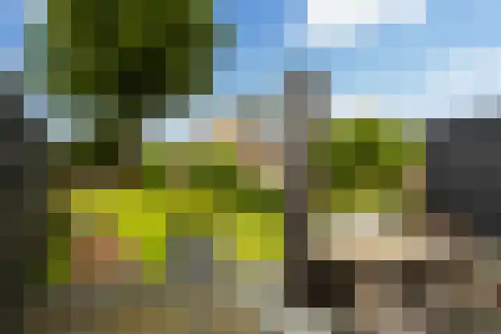 Struikakkers 13 Ermelo thumbnail 53