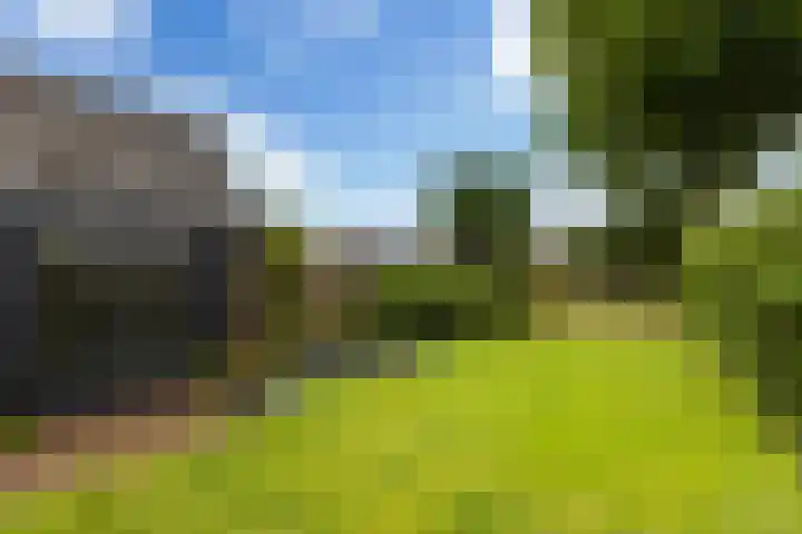 Struikakkers 13 Ermelo thumbnail 54