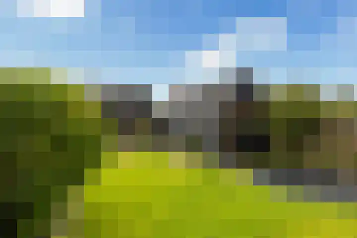 Struikakkers 13 Ermelo thumbnail 57