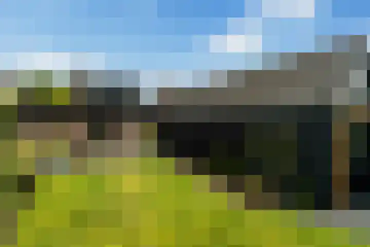 Struikakkers 13 Ermelo thumbnail 59
