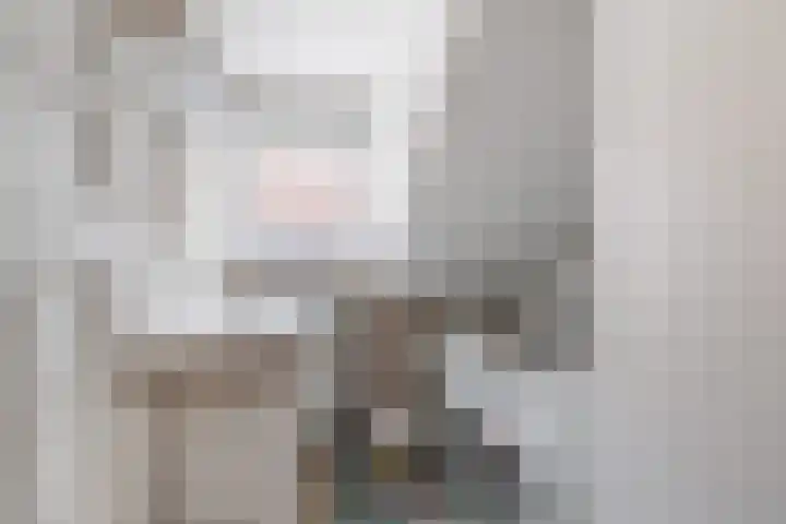 Struikakkers 13 Ermelo thumbnail 6