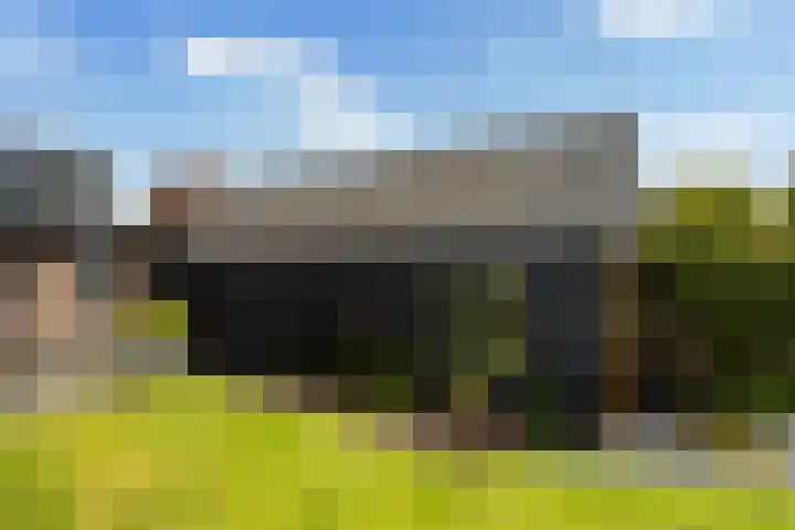 Struikakkers 13 Ermelo thumbnail 60