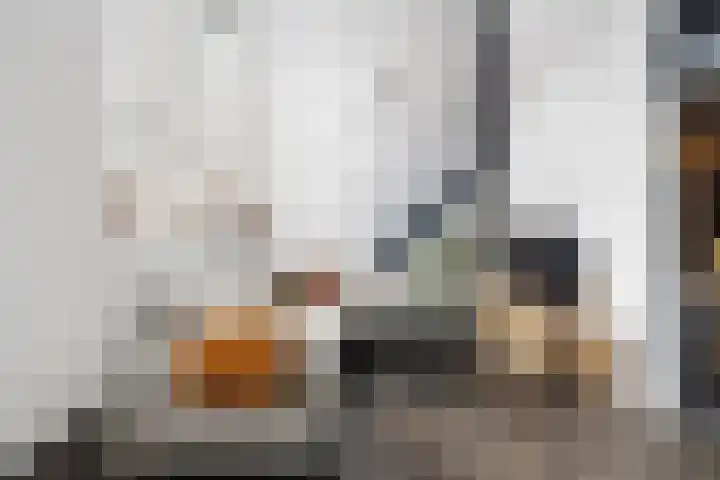 Struikakkers 13 Ermelo thumbnail 63