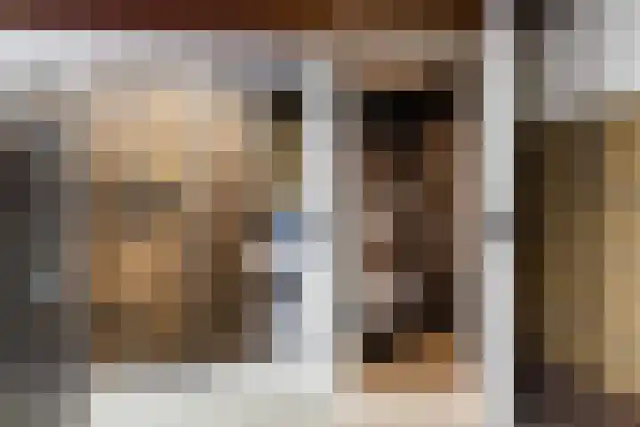 Struikakkers 13 Ermelo thumbnail 64