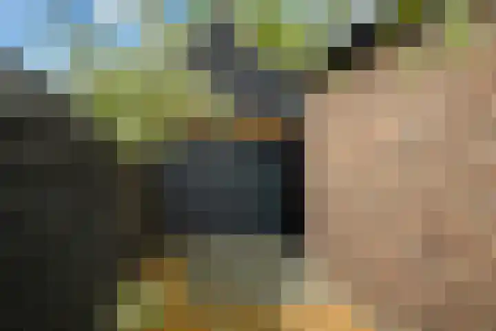 Struikakkers 13 Ermelo thumbnail 66