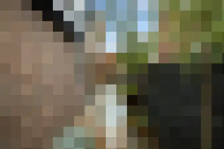 Struikakkers 13 Ermelo thumbnail 67