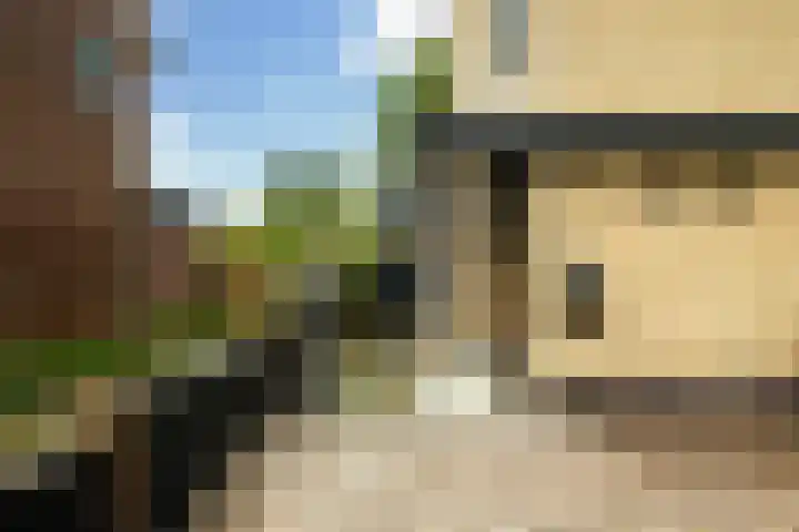 Struikakkers 13 Ermelo thumbnail 68