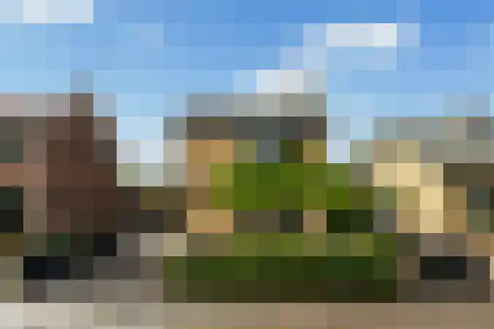 Struikakkers 13 Ermelo thumbnail 69