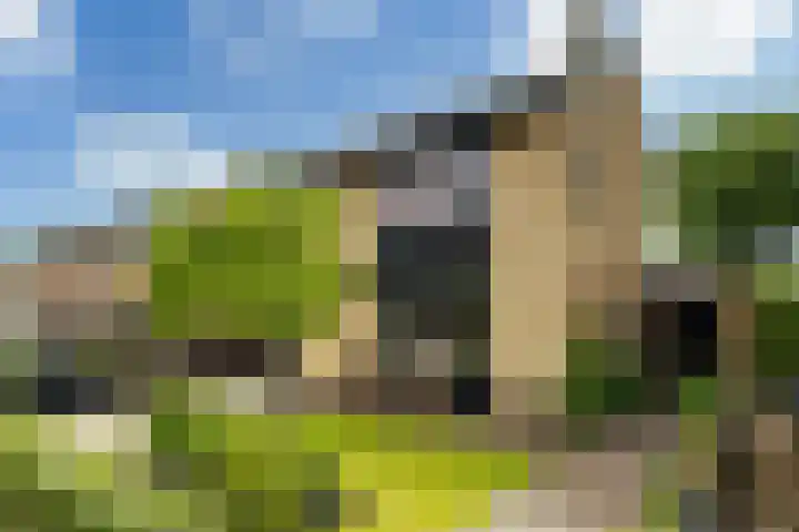 Struikakkers 13 Ermelo thumbnail 70