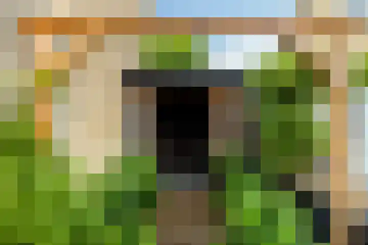 Struikakkers 13 Ermelo thumbnail 71