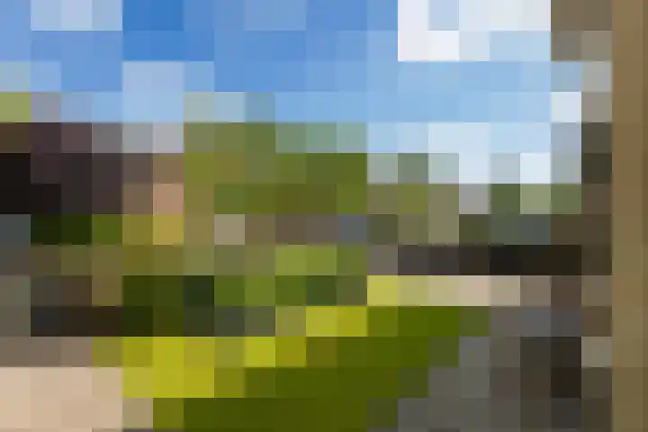 Struikakkers 13 Ermelo thumbnail 73