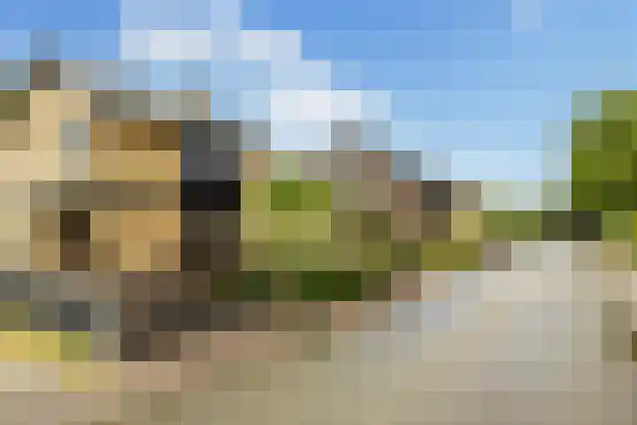 Struikakkers 13 Ermelo thumbnail 74