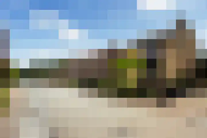 Struikakkers 13 Ermelo thumbnail 75