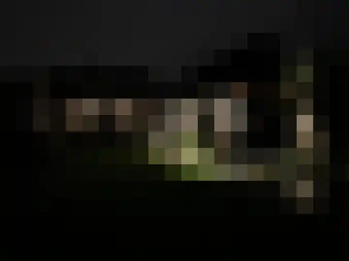 Struikakkers 13 Ermelo thumbnail 77