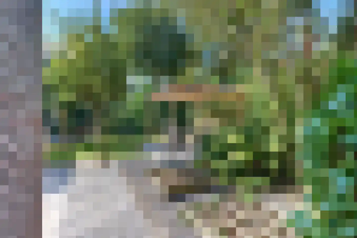 Struikbergerhout 19 Harderwijk thumbnail 34