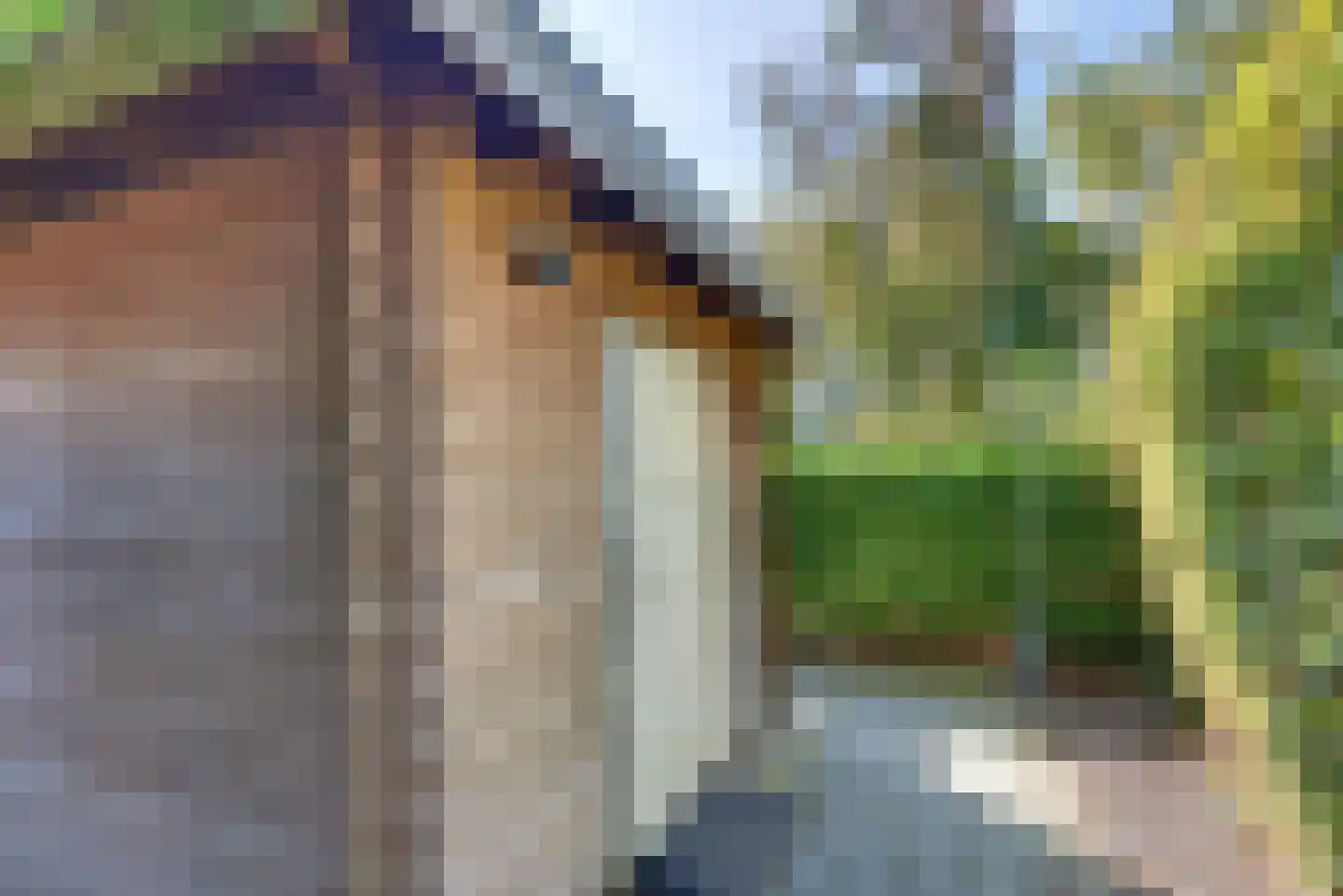 Struikbergerhout 19 Harderwijk thumbnail 44
