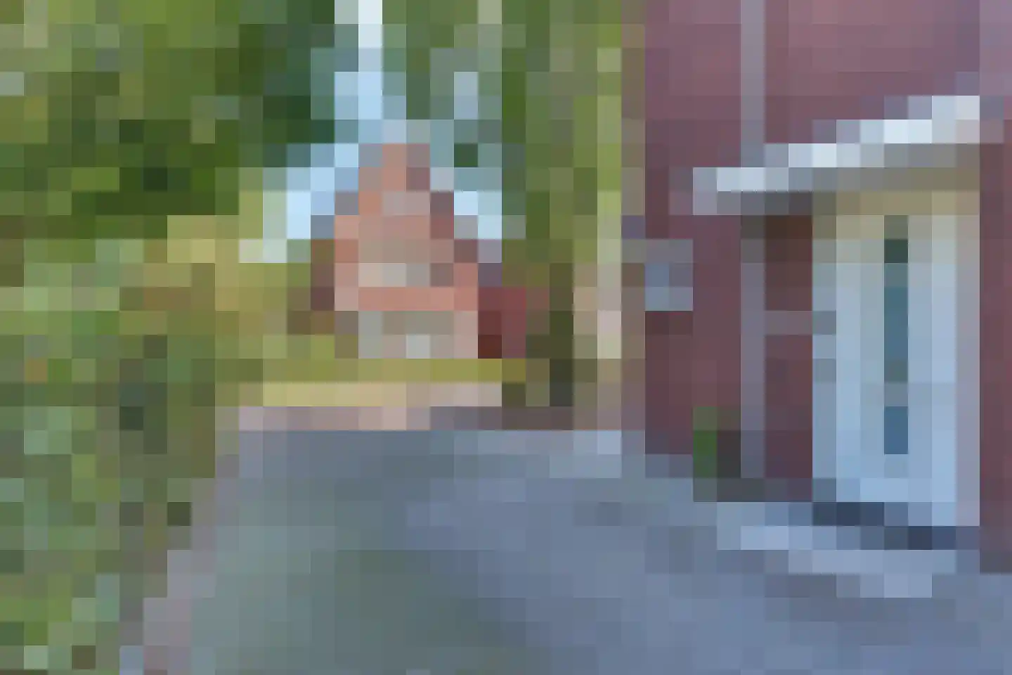 Struikbergerhout 19 Harderwijk thumbnail 47