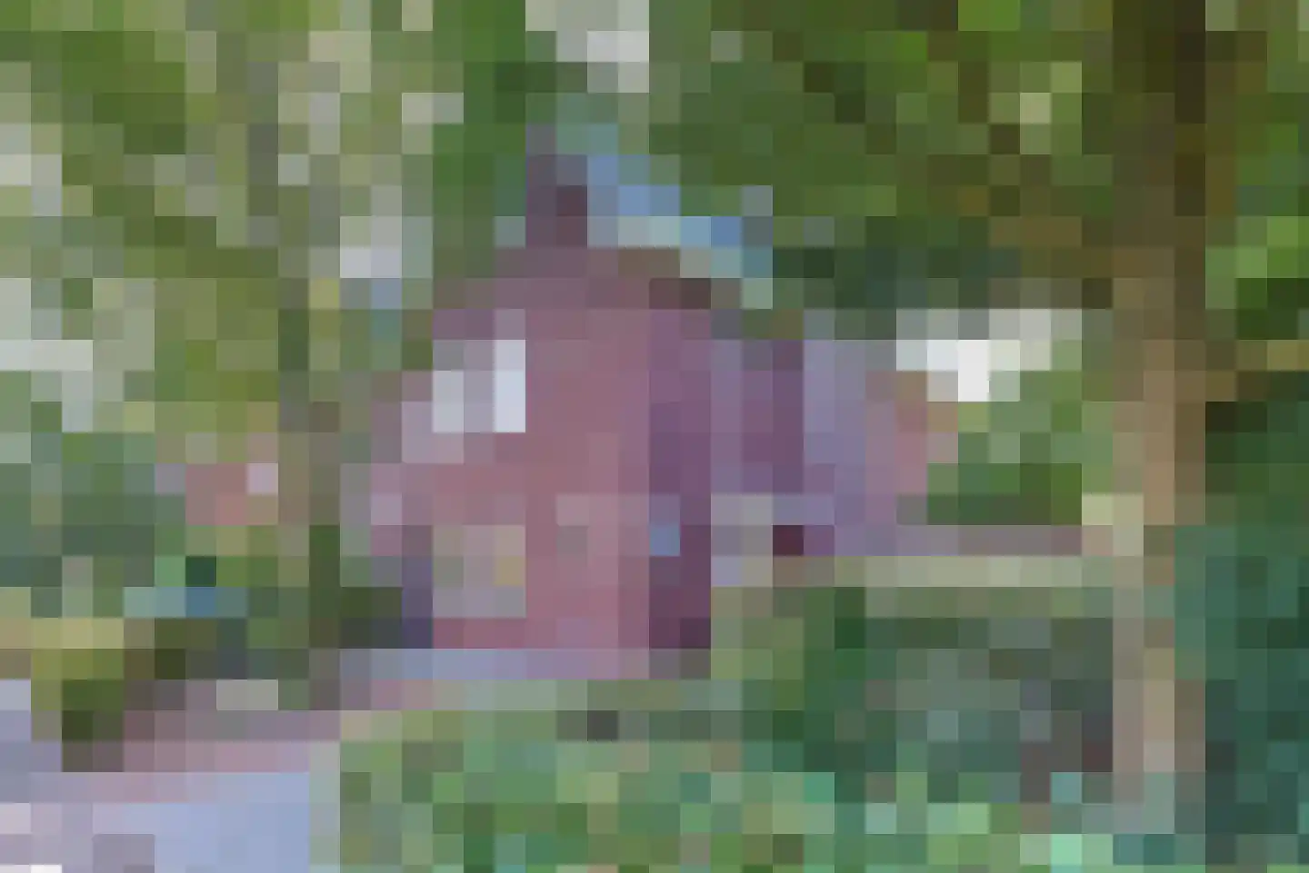 Struikbergerhout 19 Harderwijk thumbnail 50