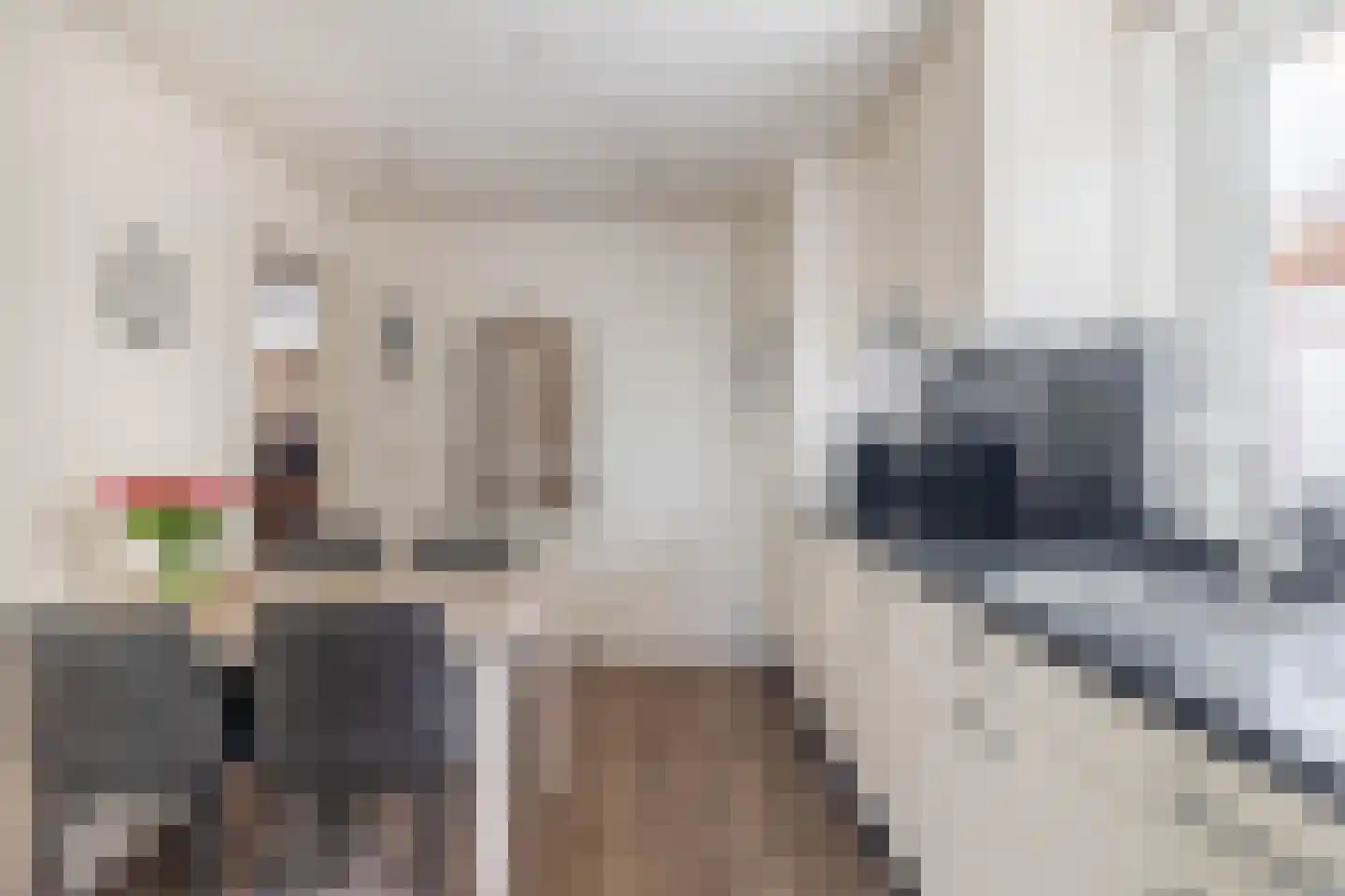 Struikhei 6 Veghel thumbnail 10