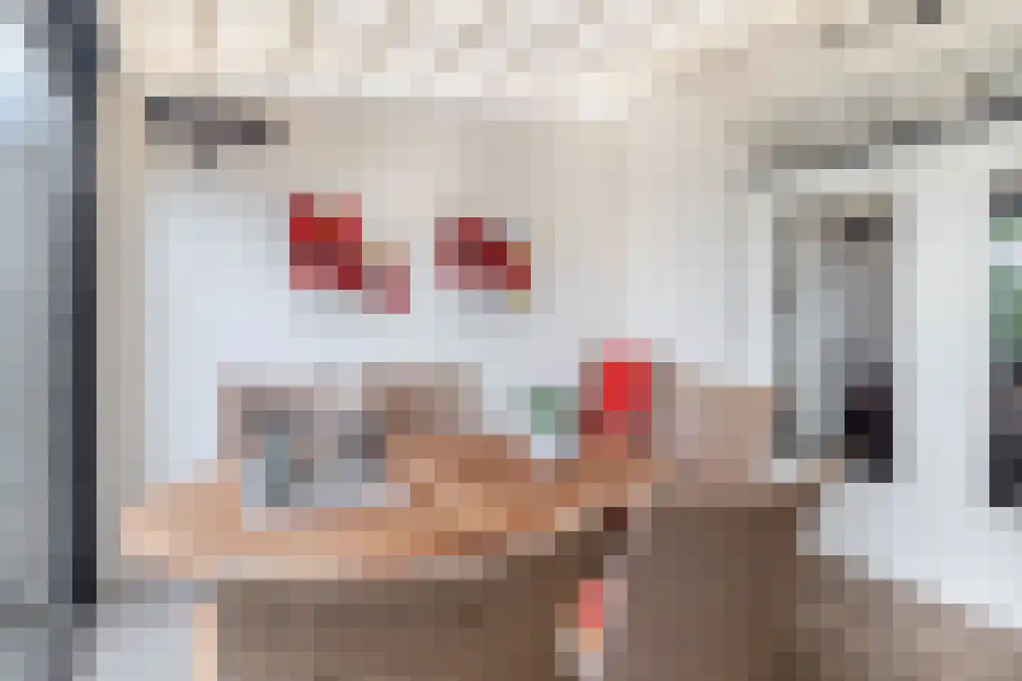 Struikhei 6 Veghel thumbnail 12