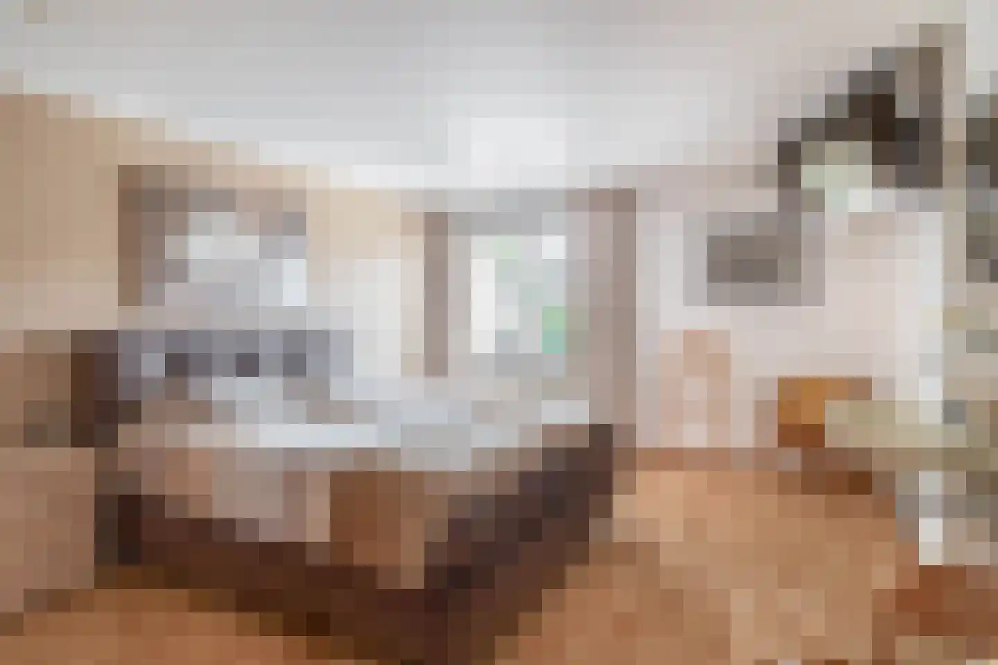 Struikhei 6 Veghel thumbnail 17