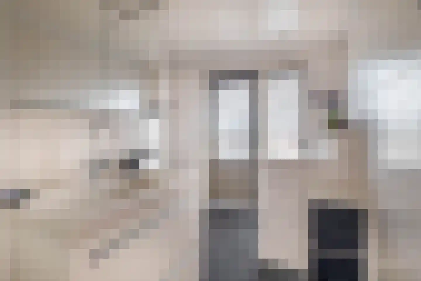 Struikhei 6 Veghel thumbnail 21