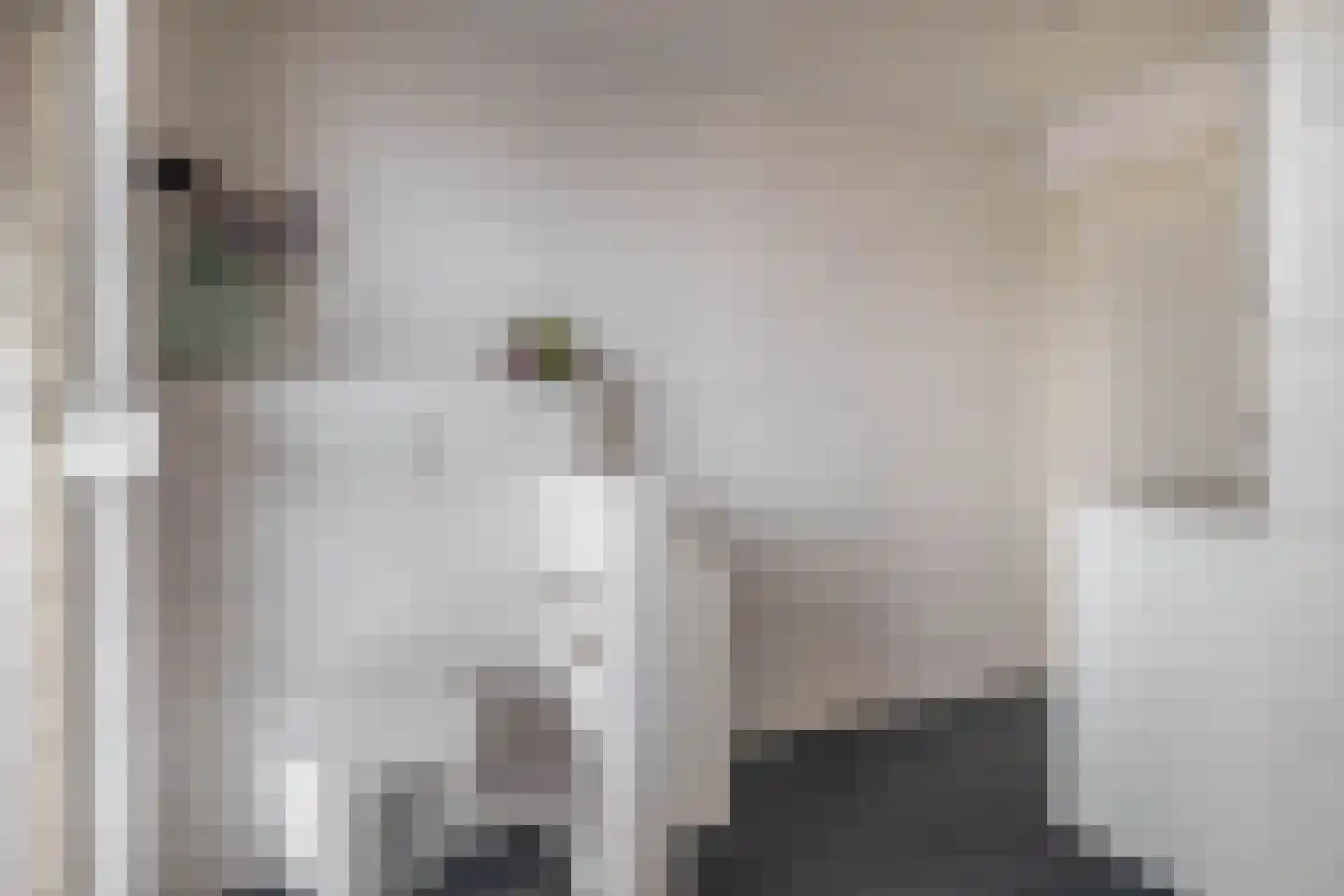 Struikhei 6 Veghel thumbnail 23