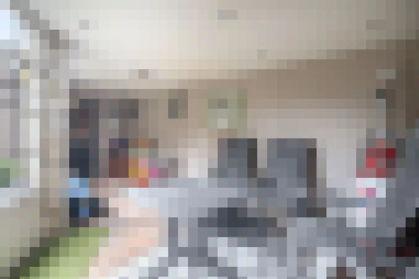 Struikhei 6 Veghel thumbnail 29
