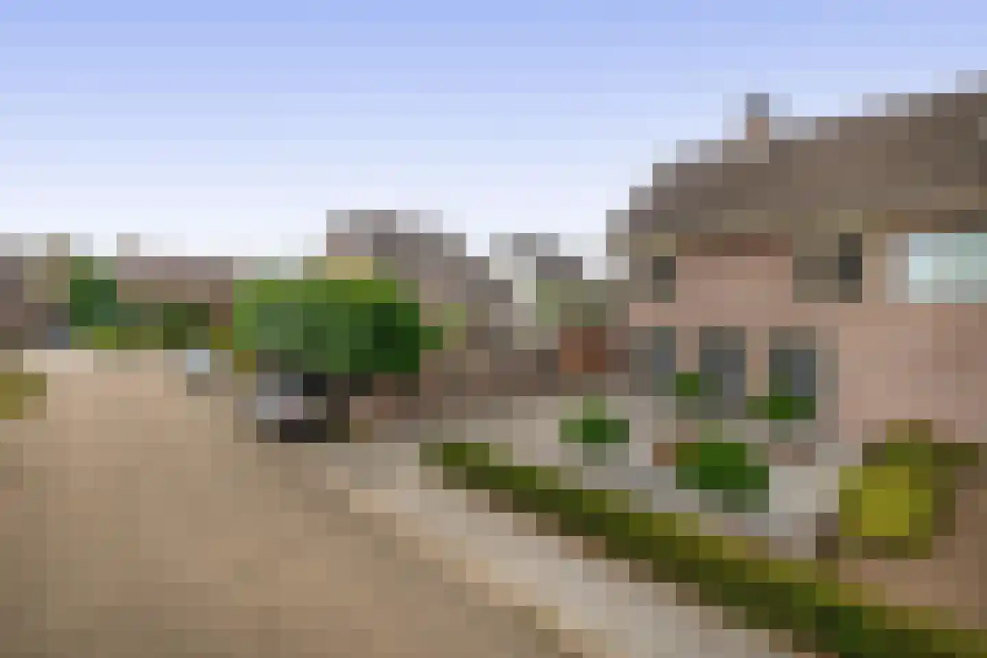 Struikhei 6 Veghel thumbnail 38