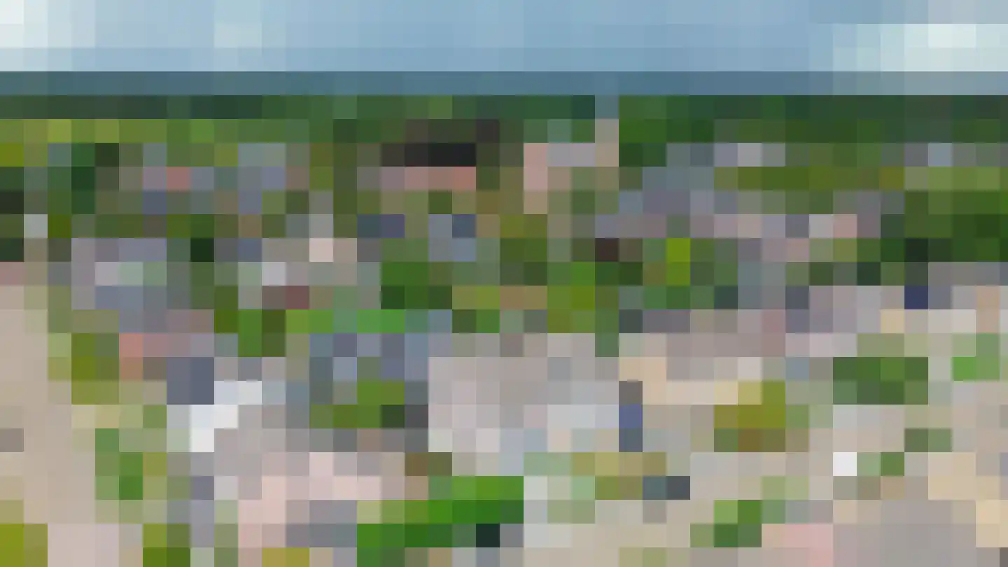 Struikhei 6 Veghel thumbnail 39