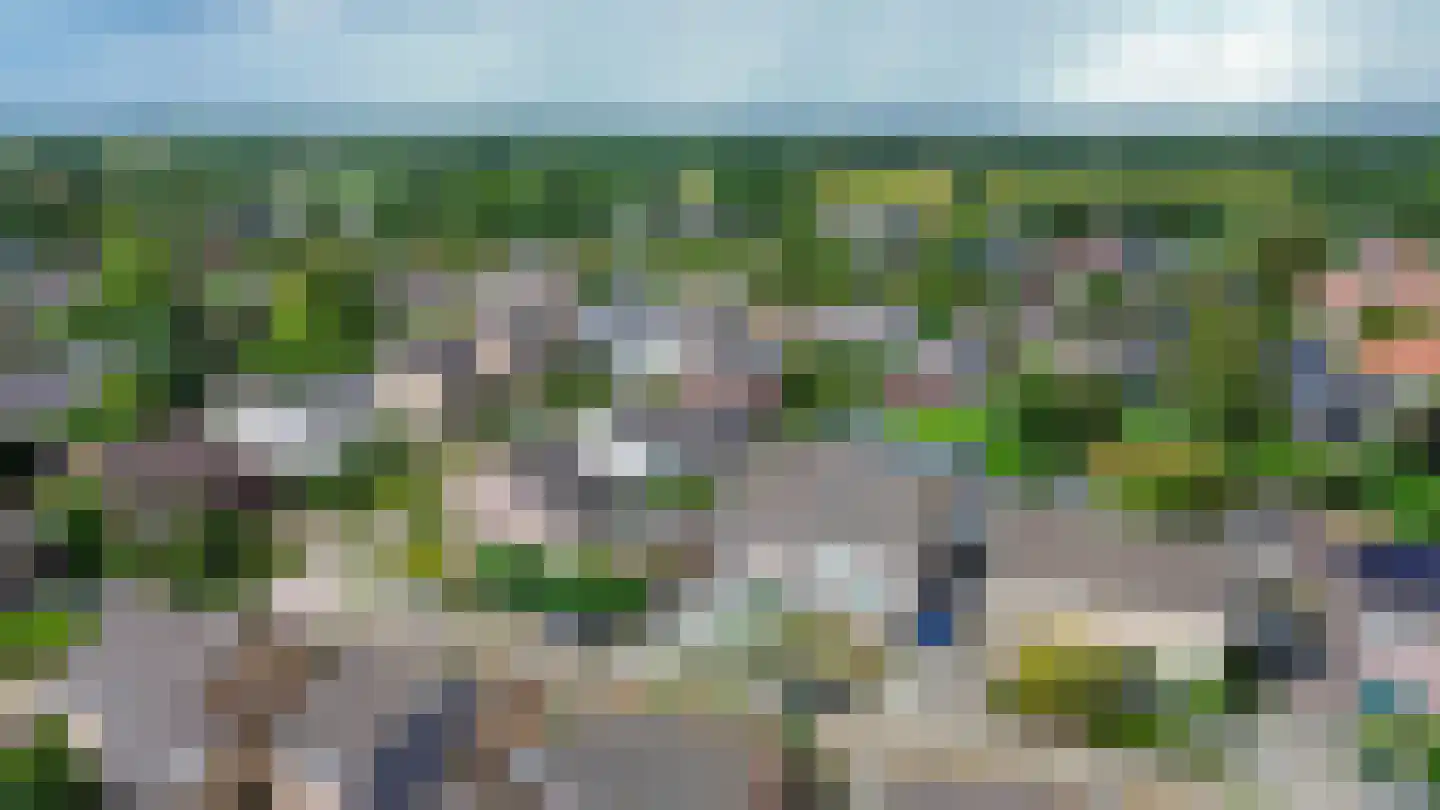 Struikhei 6 Veghel thumbnail 40
