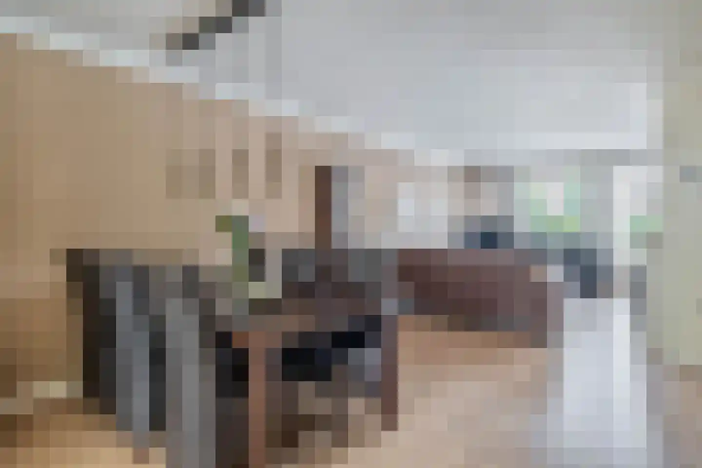 Struikhei 6 Veghel thumbnail 6