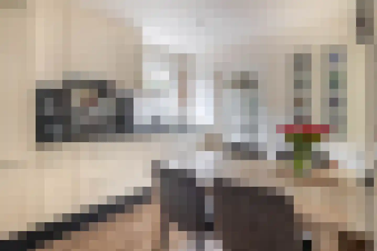 Struikhei 6 Veghel thumbnail 8