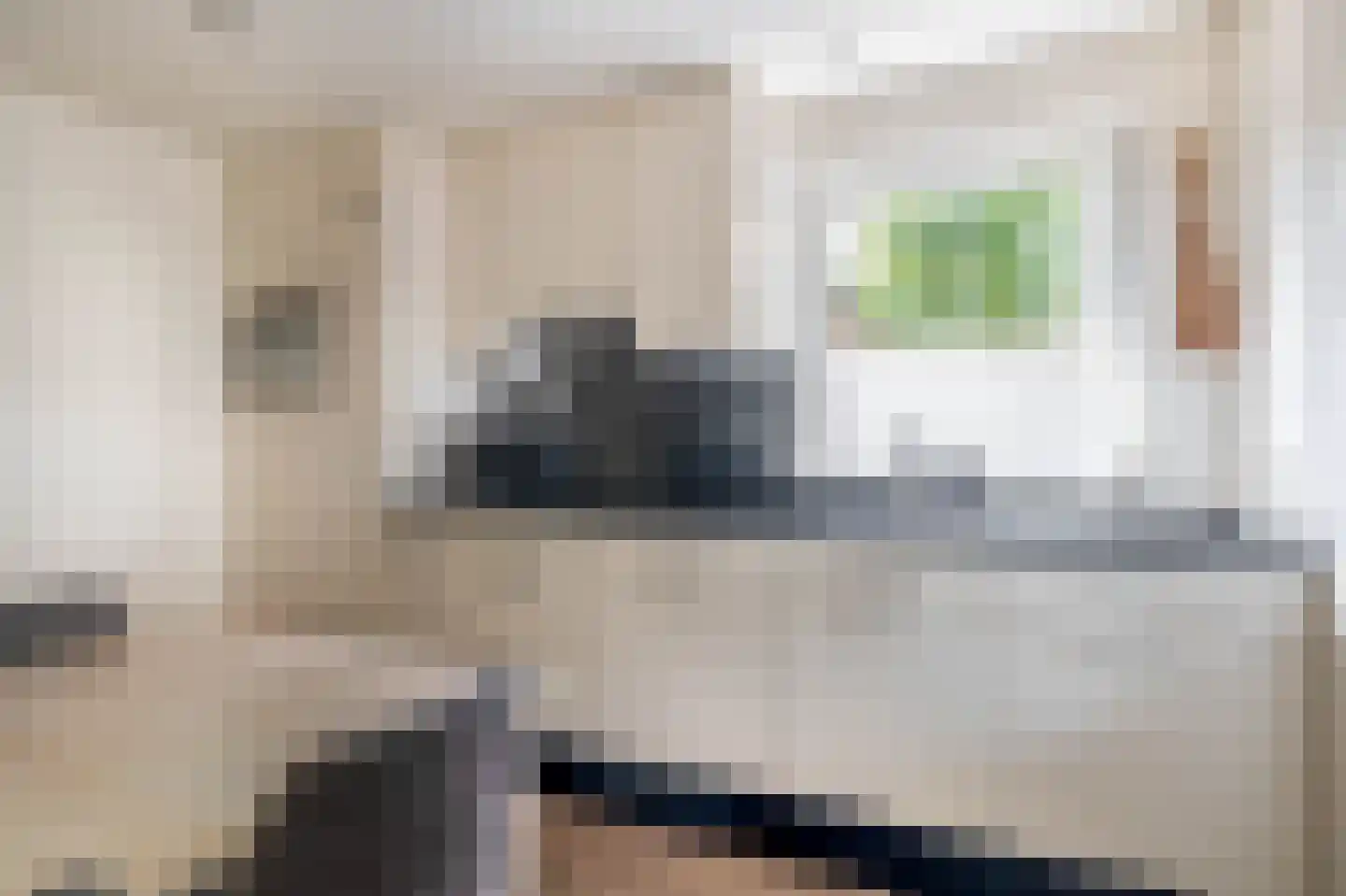 Struikhei 6 Veghel thumbnail 9