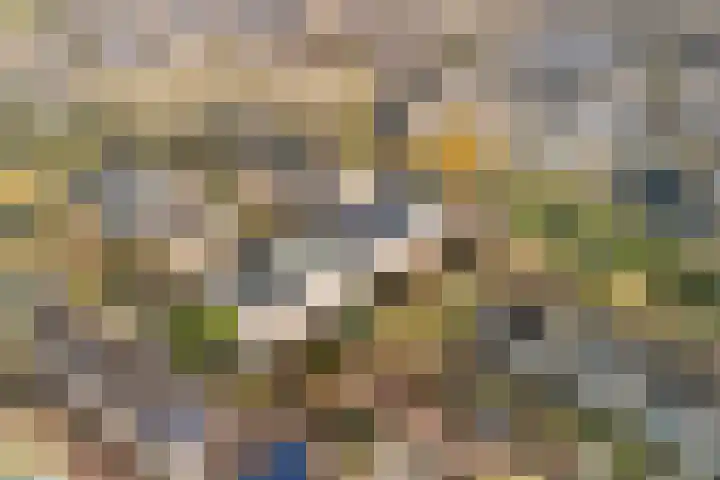 Struikheide 10 in Leiden