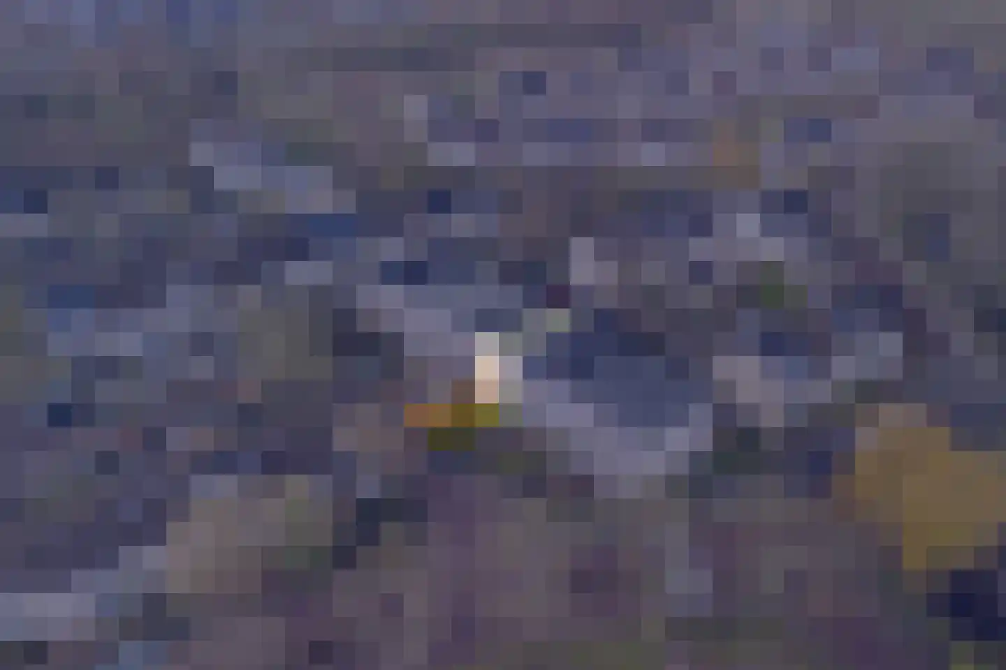 Struikheide 10 Leiden thumbnail 11
