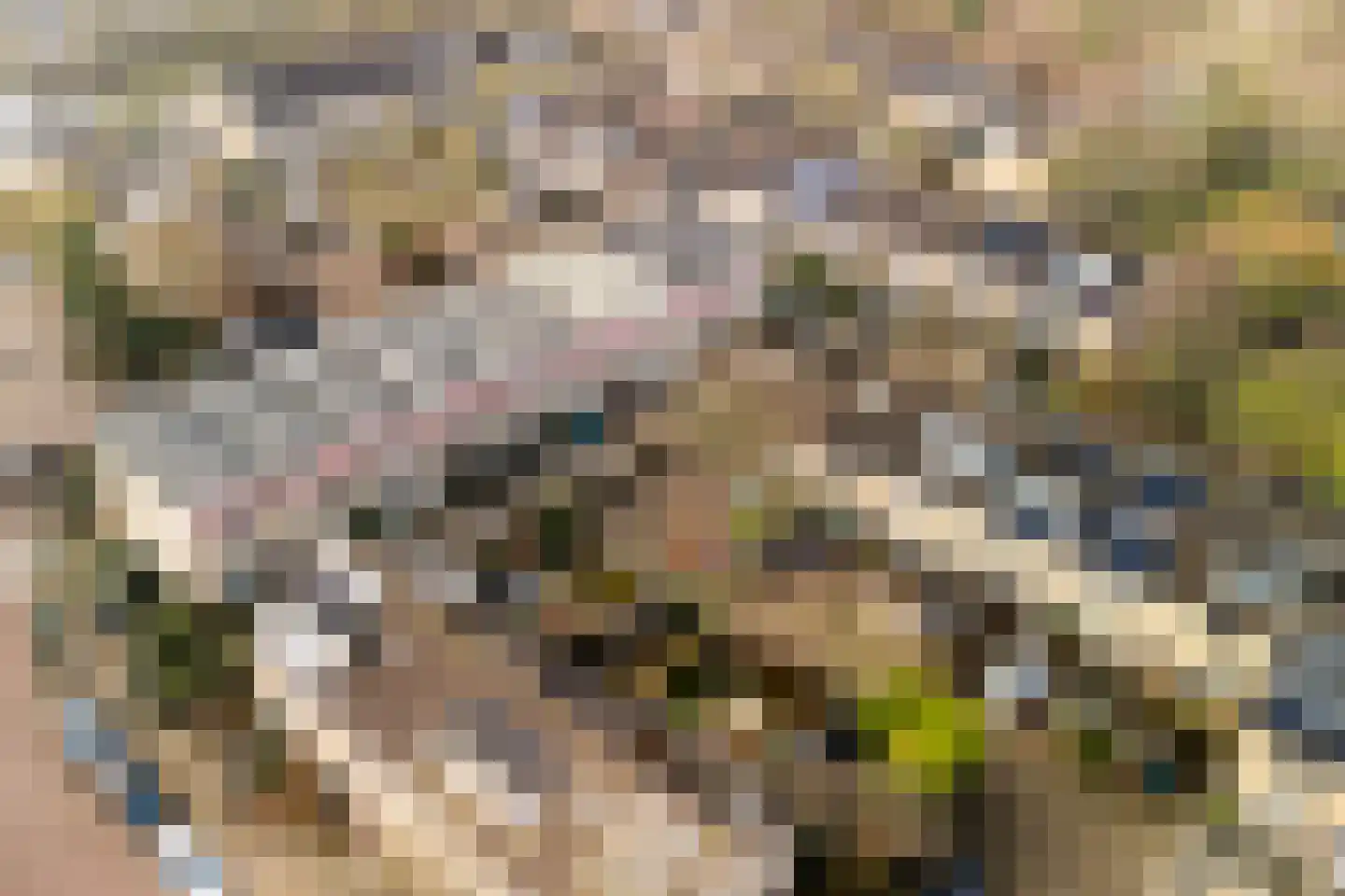 Struikheide 10 Leiden thumbnail 13