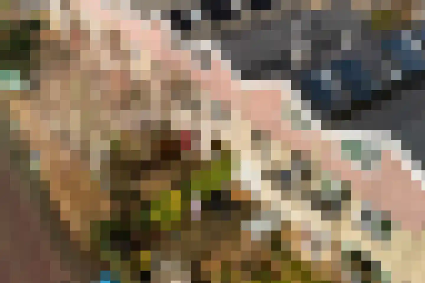 Struikheide 10 Leiden thumbnail 16