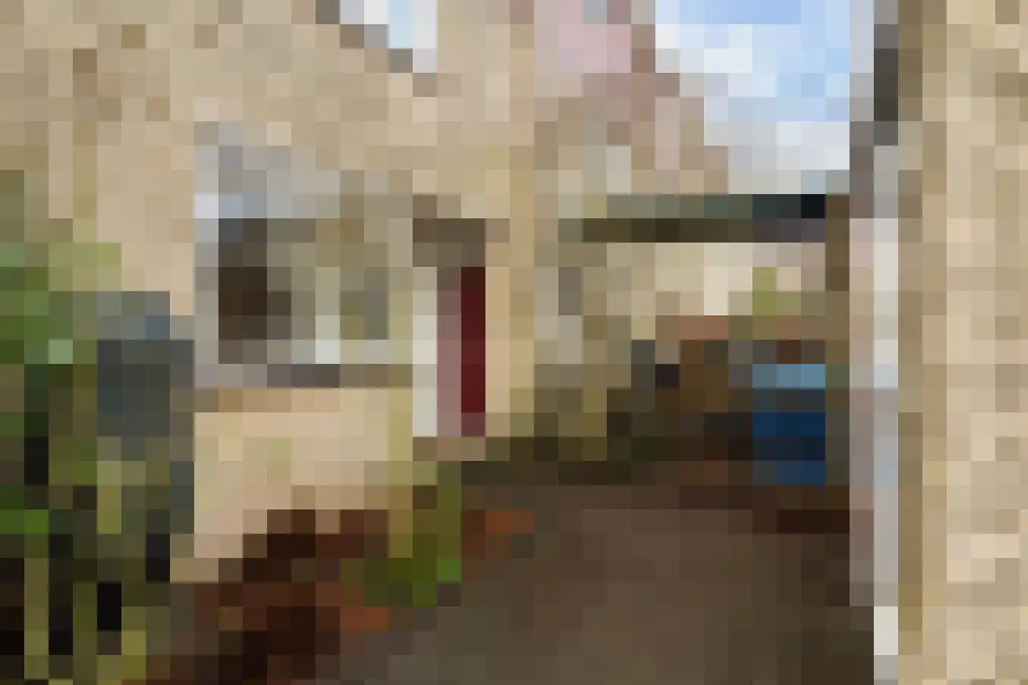 Struikheide 10 Leiden thumbnail 18