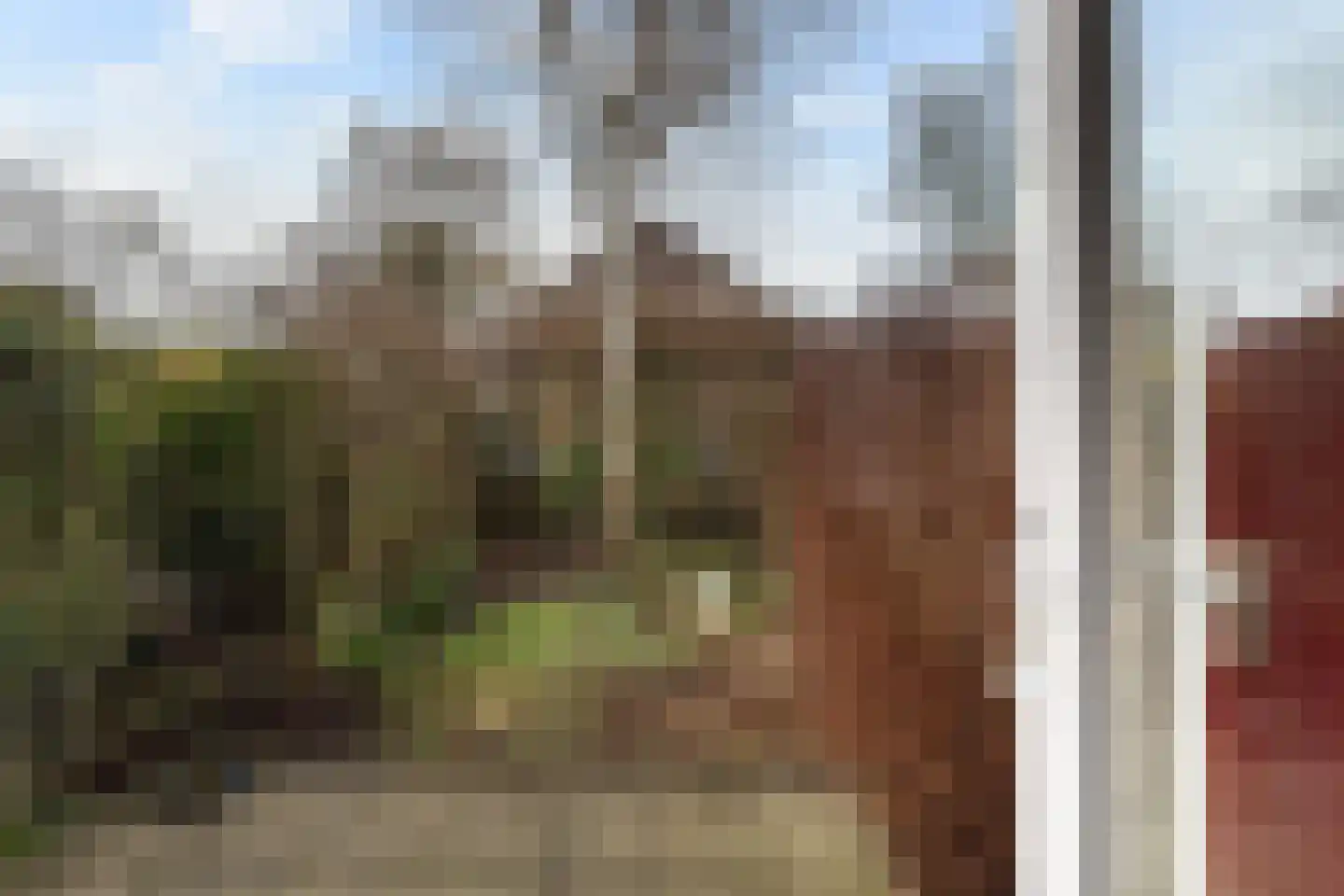 Struikheide 10 Leiden thumbnail 35