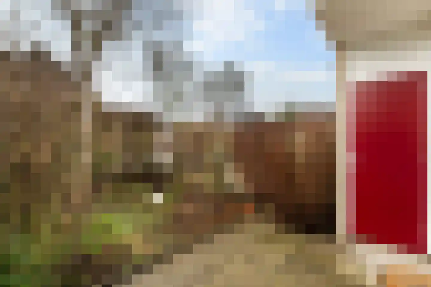 Struikheide 10 Leiden thumbnail 36