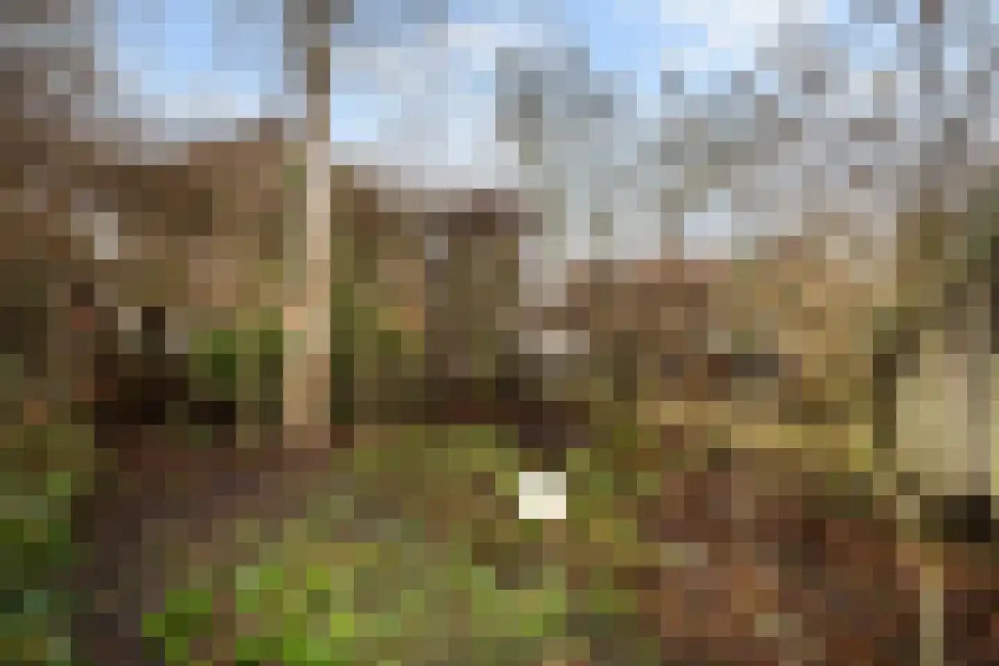 Struikheide 10 Leiden thumbnail 37