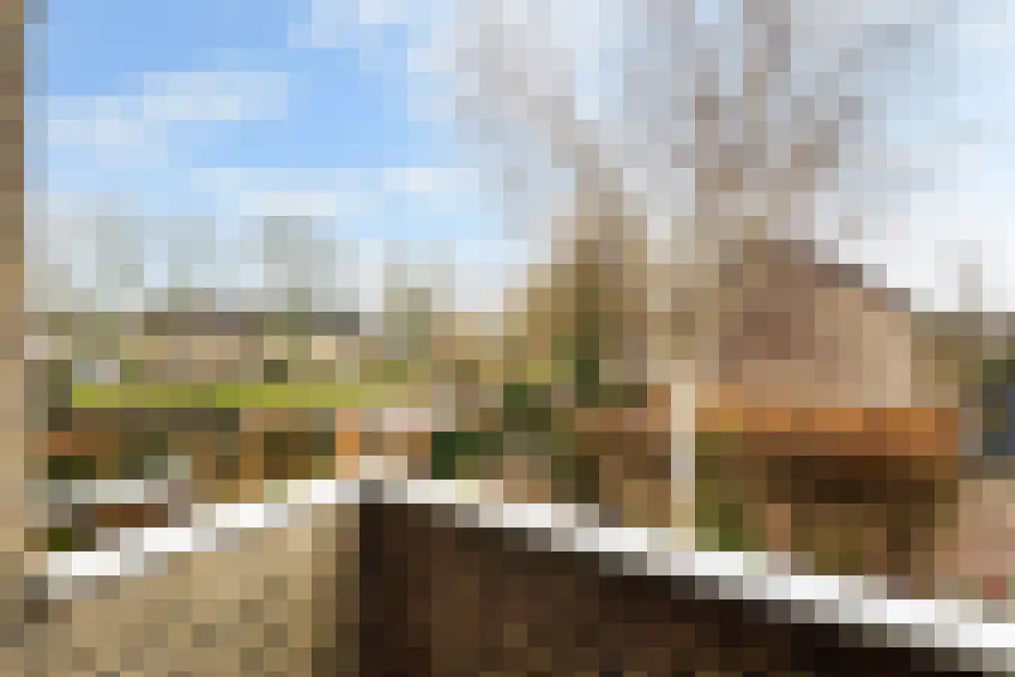 Struikheide 10 Leiden thumbnail 49
